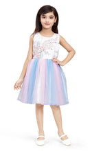 Load image into Gallery viewer, Doodle Girls Pink and Blue Net With Embroidery Patch Sleeveless Dress
