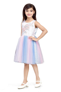 Doodle Girls Pink and Blue Net With Embroidery Patch Sleeveless Dress