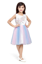 Load image into Gallery viewer, Doodle Girls Pink and Blue Net With Embroidery Patch Sleeveless Dress
